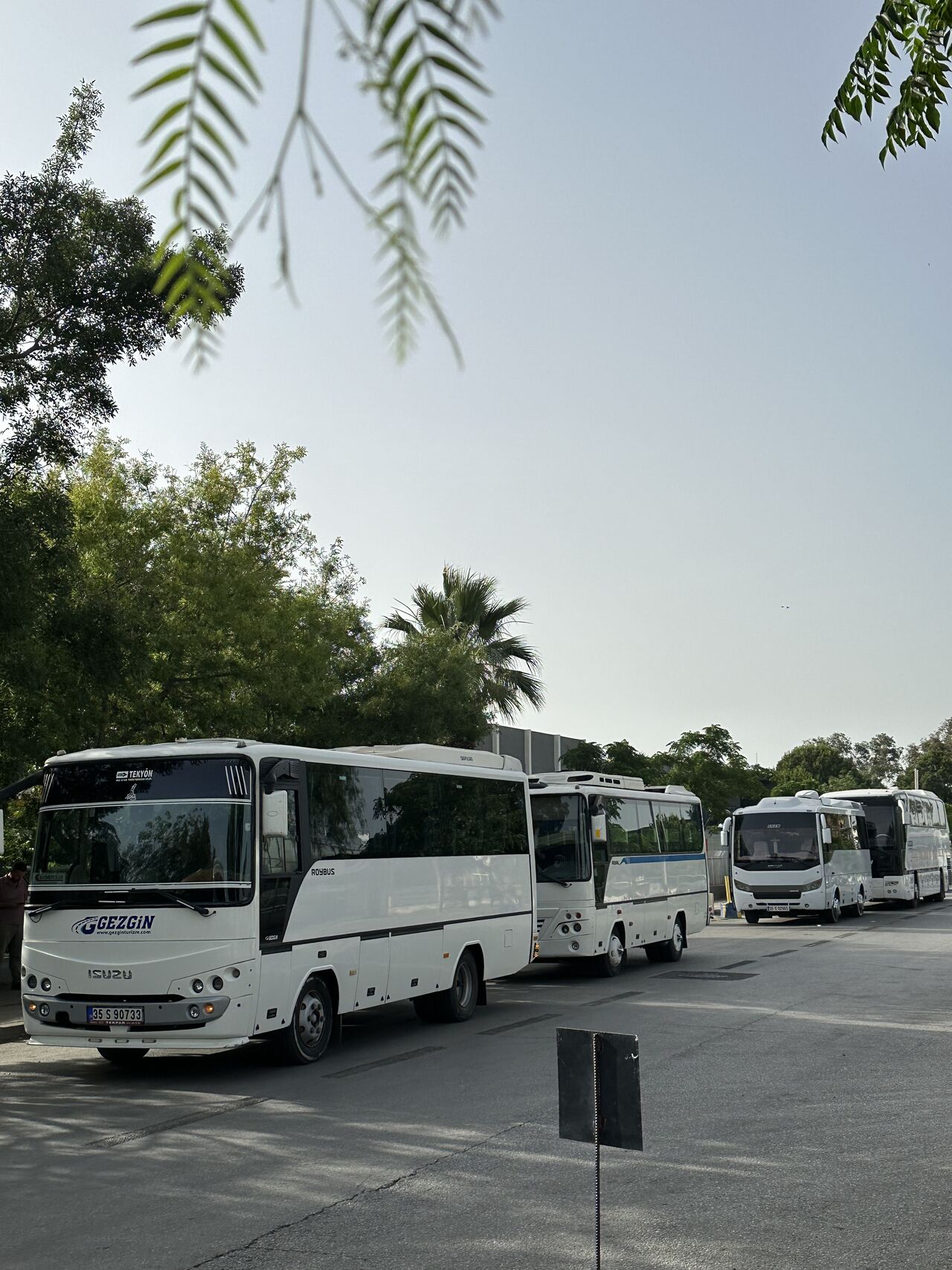 Gezgin Turizm Şoförü Görev Başında